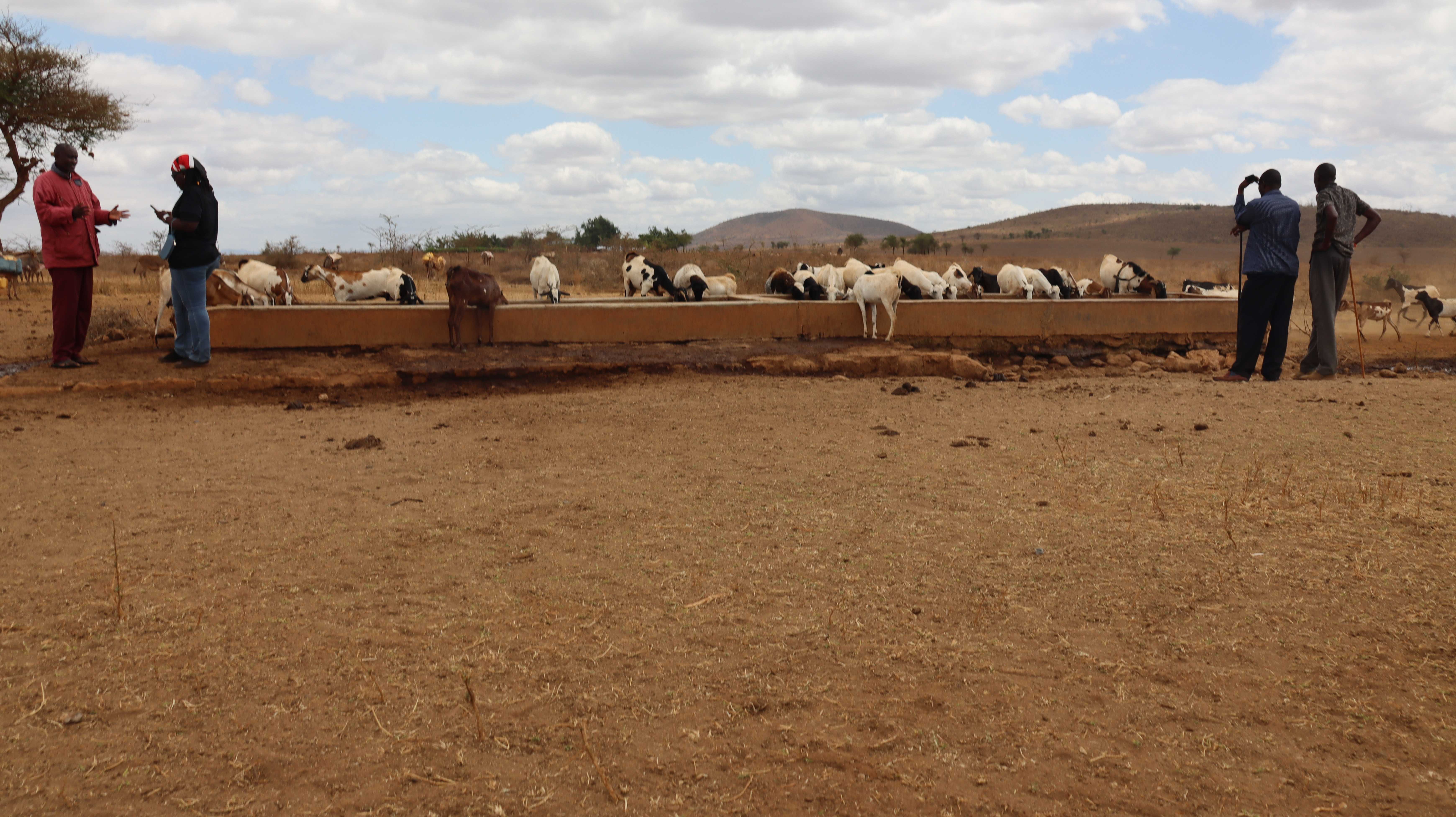 Sustainable development landscape